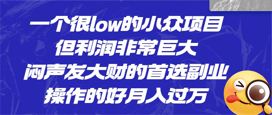 一个很low的小众项目,但利润非常巨大,闷声发大财的首选副业,月入过万/G2161期-1 一个很low的小众项目,但利润非常巨大,闷声发大财的首选副业,月入过万/G2161期-1