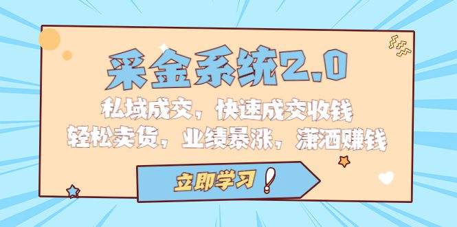采金 系统2.0,私域成交,快速成交收钱,轻松卖货,业绩暴涨,潇洒赚钱/G1992期-1 采金 系统2.0,私域成交,快速成交收钱,轻松卖货,业绩暴涨,潇洒赚钱/G1992期-1