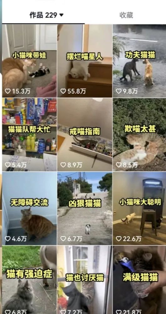 拆解:抖音盘点类中视频变现副业项目,视频版一条龙大解析分享给你/G2193期-3 拆解:抖音盘点类中视频变现副业项目,视频版一条龙大解析分享给你/G2193期-3