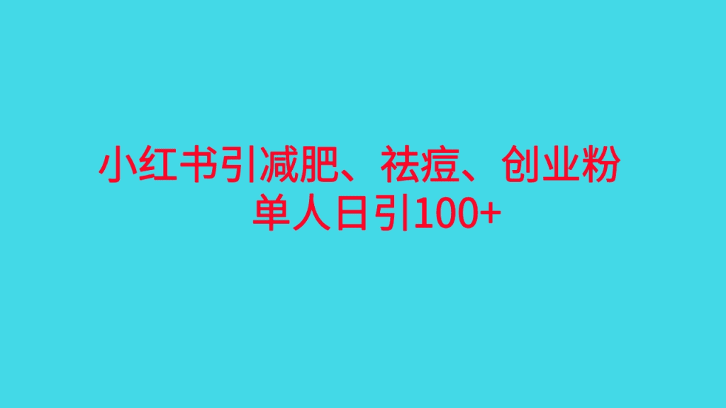 小红书精准引流，减肥、祛痘、创业粉单人日引100+（附软件）/G1927期-久创网