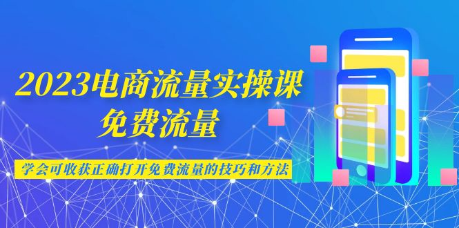 2023电商流量实操课-免费流量，学会可收获正确打开免费流量的技巧和方法/G1065期-久创网