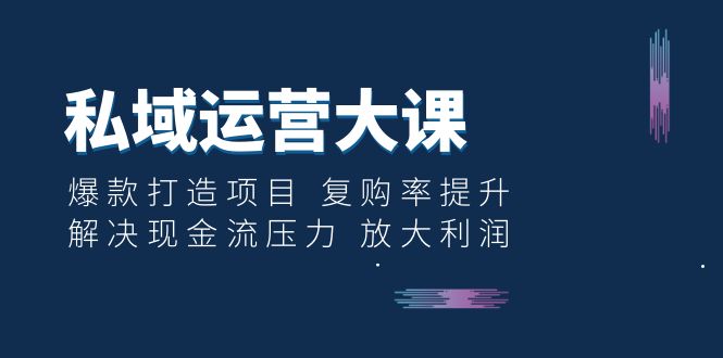 私域运营大课：爆款打造项目 复购率提升 解决现金流压力 放大利润/G2293期-久创网