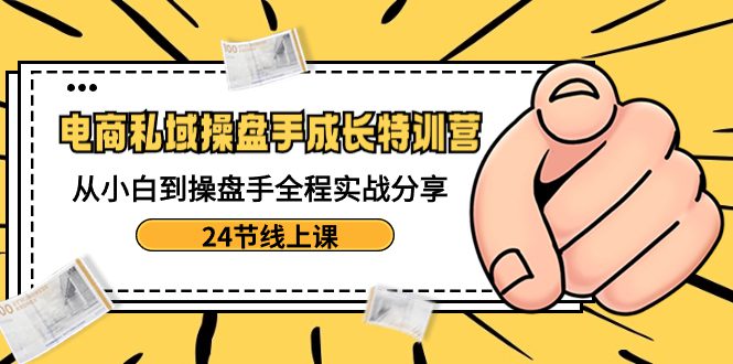 电商私域-操盘手成长特训营:从小白到操盘手全程实战分享-24节线上课/P1153期