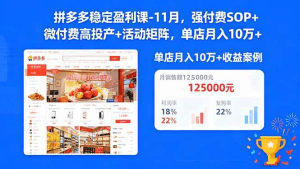 拼多多稳定盈利课-11月,强付费SOP+微付费高投产+活动矩阵,单店月入10w+-久创网