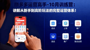 拼多多运营高手-10月训练营:讲解从新手到高阶玩法的完整运营体系!-久创网