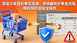 淘宝小类目补单实战课：系统解析补单全流程、降权风险及安全操作-久创网