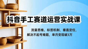 抖音手工赛道运营实战课，流量思维、标签机制、垂直定位，解决不起号难题，单月变现破3万-久创网