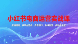 小红书电商运营实战课，店铺搭建、多平台选品、内容创作、私域引流、多账号运营等玩法-久创网