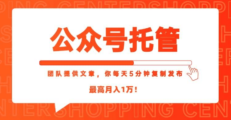 [公众号托管 】我提供文章,你每天5分钟复制发布,最高月入1W