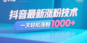 抖音最新涨粉技术,一天轻松涨粉1000+-久创网