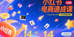 小红书虚拟电商速成课:个人定位分析,原创产品开发,14天变现路径规划-久创网