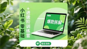 小红书零基础+高阶训练营:安全养号、爆款拆解、长效运营,实现稳定涨粉与变现-久创网