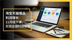 淘宝天猫爆品利润增长-11月线下课，免费流量、付费放大、费比管控，实现店铺利润倍增-久创网